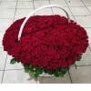 501 красная роза в корзине R941