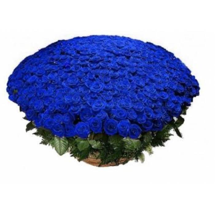 Большой букет синих роз, 301 шт. R924
