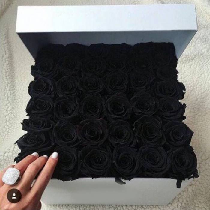 39 черных роз в коробке R824