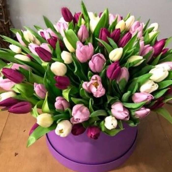 59 разноцветных тюльпанов в коробке R652